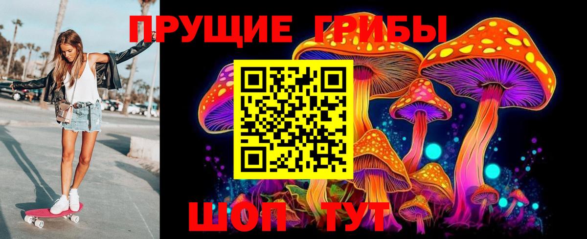 Псилоцибиновые грибы Cubensis  Вход с VPN  Баксан  Псилоцибиновые грибы GOLDEN TEACHER 
